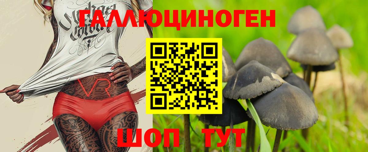 Псилоцибиновые грибы Cubensis  Псилоцибиновые грибы Psilocybine cubensis  Вход с VPN  Унеча 